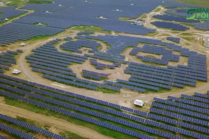 World’s Cutest Solar Farm in China is Shaped like a Panda